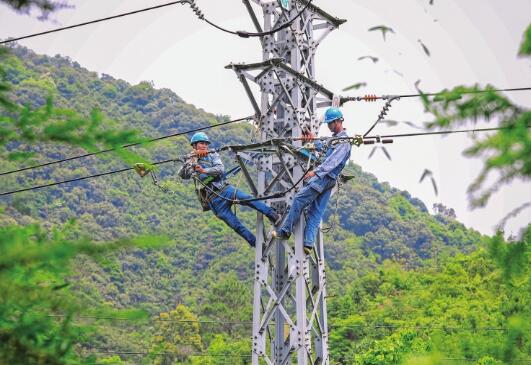 廣東電網(wǎng)肇慶供電局對159條故障高發(fā)線路開展全面改造升級專項行動