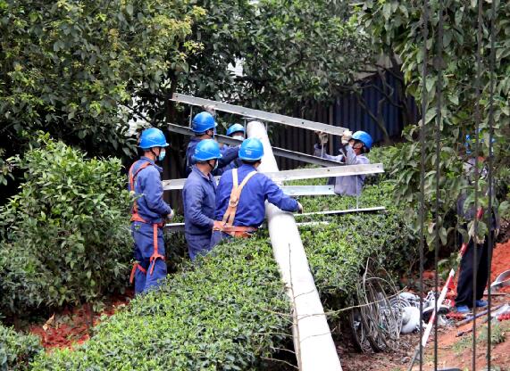 國網宜賓供電：果園澆灌“牽專線” 種殖大戶笑開顏