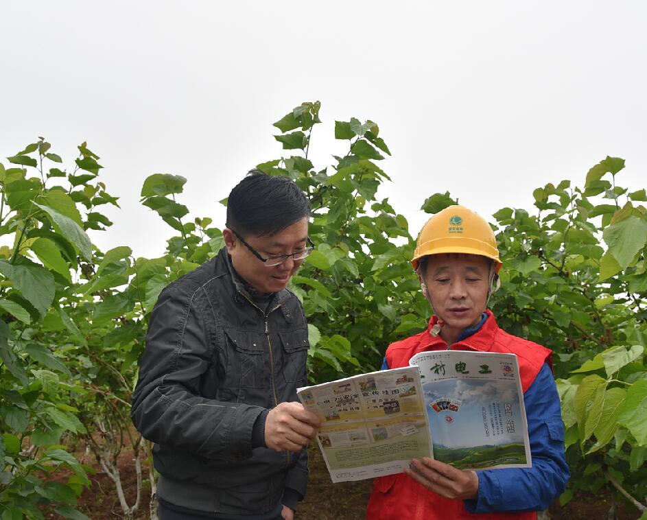 國網四川資陽樂至供電公司：學史力行助采摘 果農致富笑春風