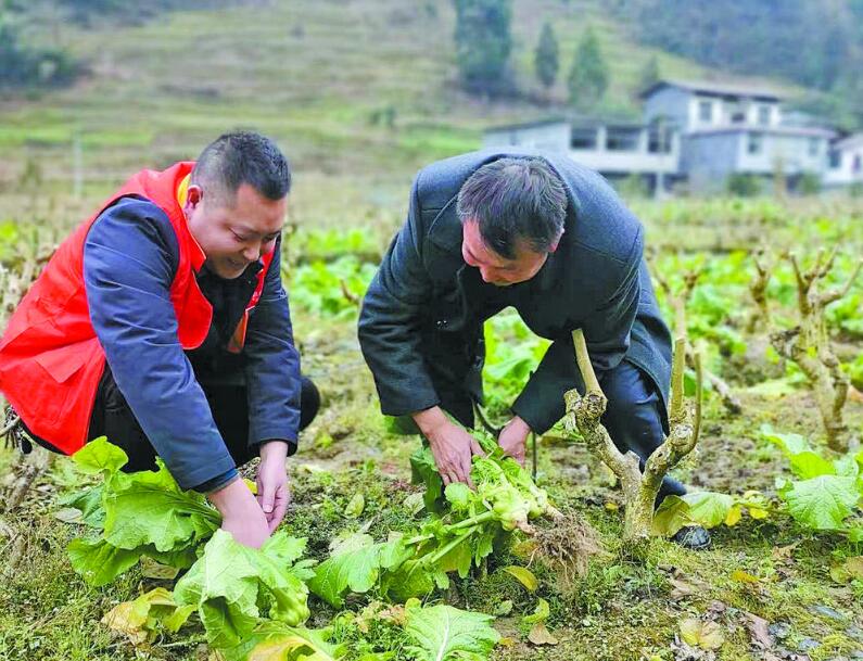 駐村第一書記馬攀：扎扎實實為村民辦實事解難題