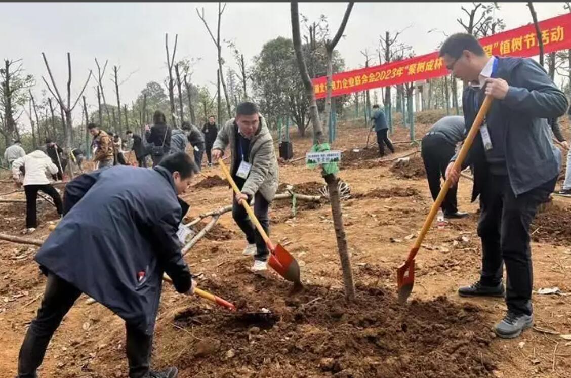 湖北省電力企業(yè)聯(lián)合會舉辦“聚樹成林·聚合希望”植樹活動(dòng)