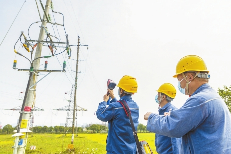 廣東海珠供電局隆平試驗(yàn)田開展電力“體檢”