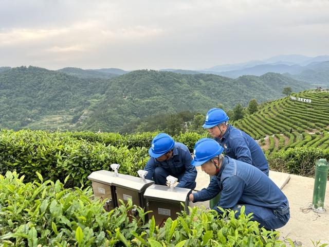 國網(wǎng)平利縣供電公司用心電靚“國際茶日”傾情賦能女媧故里