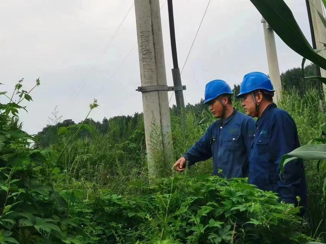 國網(wǎng)長春供電公司積極應對極端天氣，確保線路設備穩(wěn)定運行