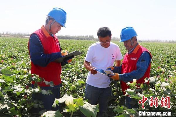 新疆啟動(dòng)2023年秋糧生產(chǎn)供電服務(wù)保障專(zhuān)項(xiàng)行動(dòng)