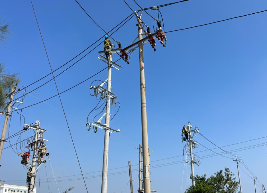 國網漳浦供電公司差異化改造高效提升供電可靠性