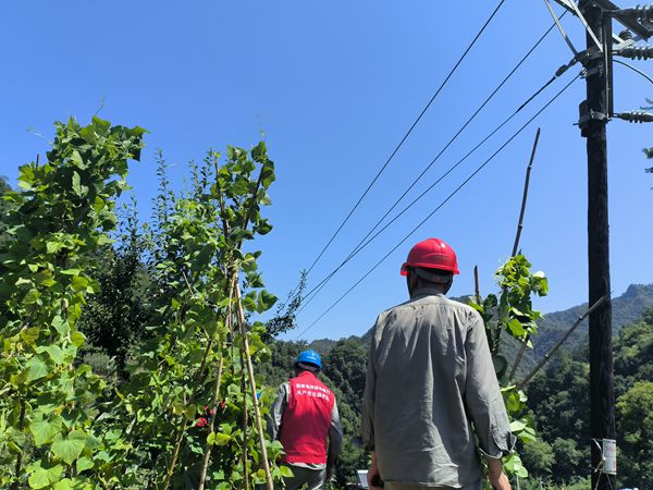 湖北竹溪供電公司暢通電力生命線 助力打贏迎峰度夏保供電攻堅戰(zhàn)